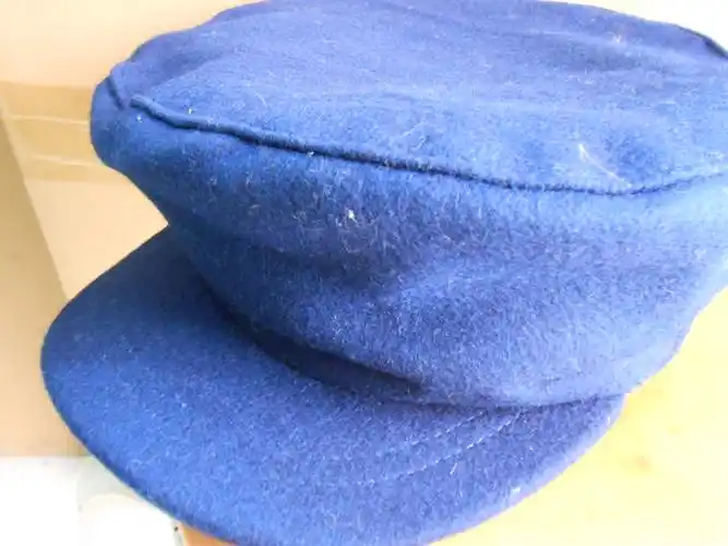 春秋老式中山帽子男布料平顶帽军帽中老年人男士老人鸭舌帽爸爸