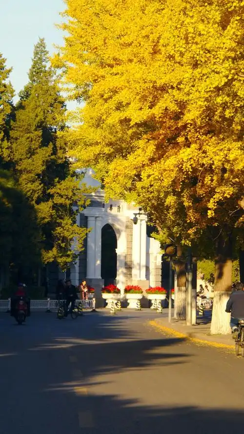 二零一九的十月份,我从清华大学新雅书院来到了牛津大学新学院(new