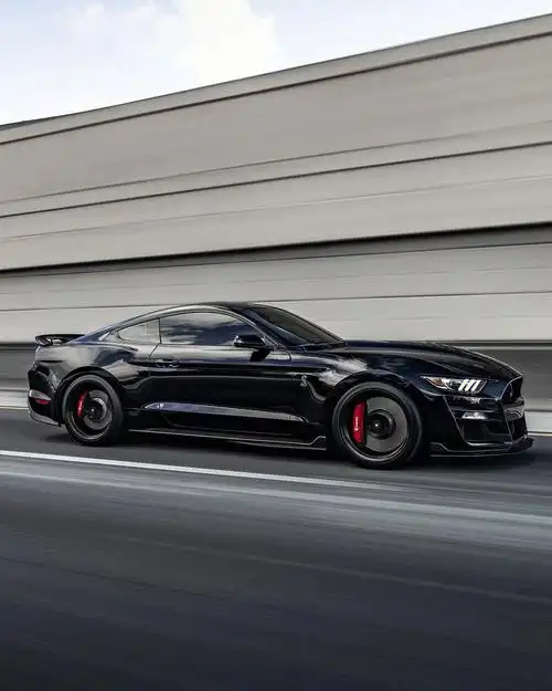 福特谢尔比gt500眼镜蛇车标看着就不简单