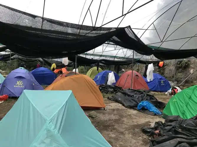 一个个支起的小帐篷