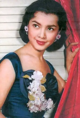 昨夜星辰昨夜风:忆60-70年代香港著名女影星