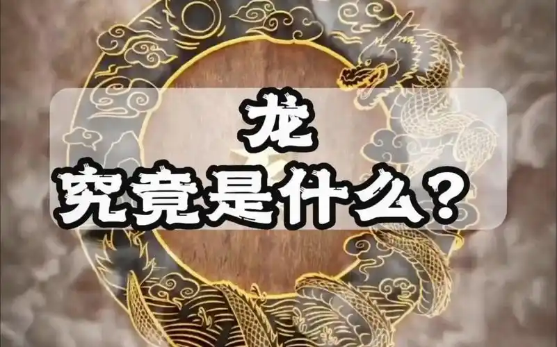 飞龙在天?亢龙有悔?这龙究竟是什么?