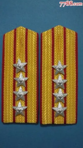 大校(4)号肩章一对