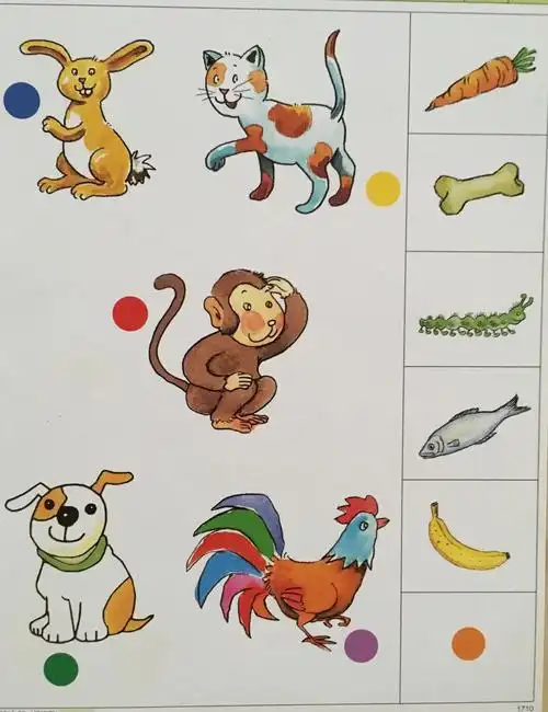 写美篇我们努力的目标: 1,了解动物的食性,能说出它们爱吃的食物