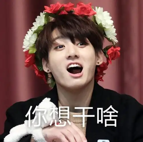 防弹少年团表情包