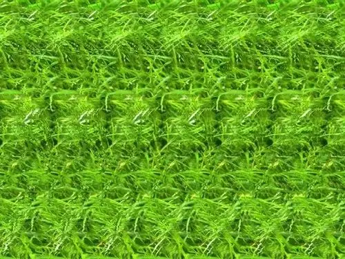 三维立体图片欣赏盘点网络流传的3d立体图片合集