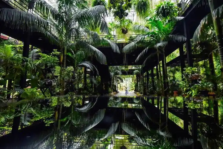 【春游"惠"玩季】2024年海外5大爆款踏青赏花地攻略来袭_花园_bay