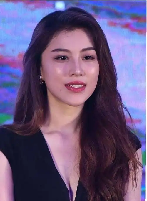 葛天个人资料简介及家世介绍图片