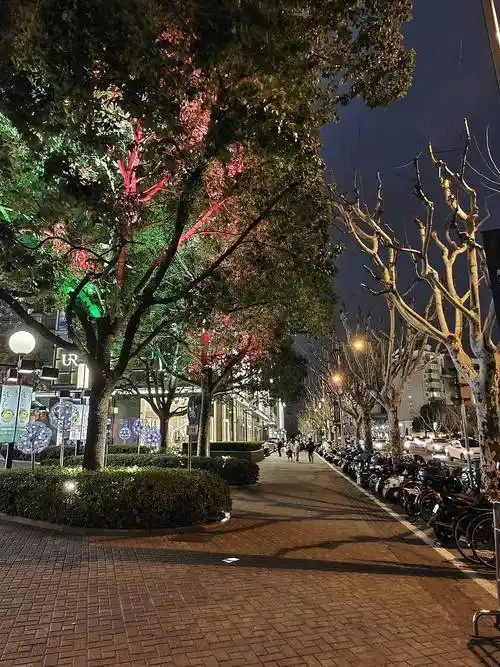 超越旗舰舍得堆料的iqoo9pro变得更全能了