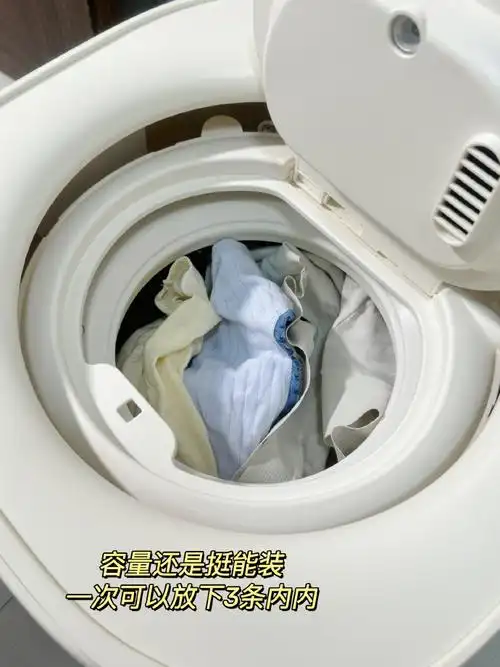 解放双手##大宇内衣裤洗衣机##内衣洗衣机##大宇内衣洗衣机