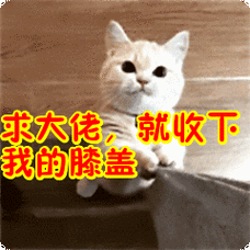 求大佬就收下我的膝盖表情包