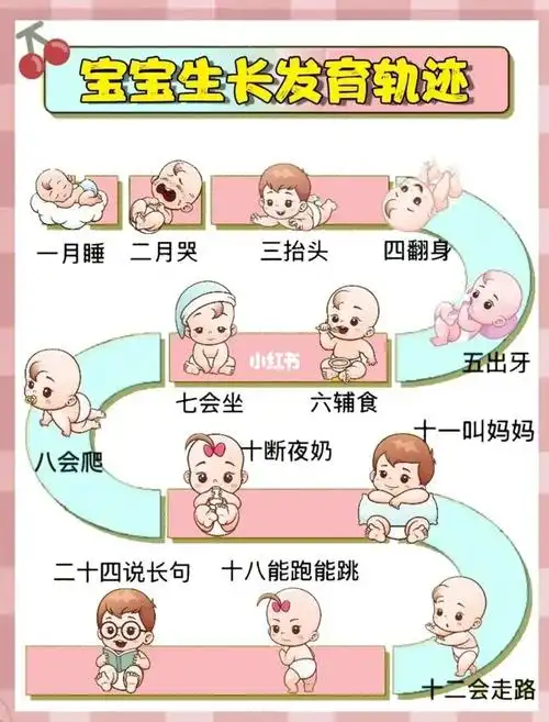 新生儿宝宝生长发育轨迹
