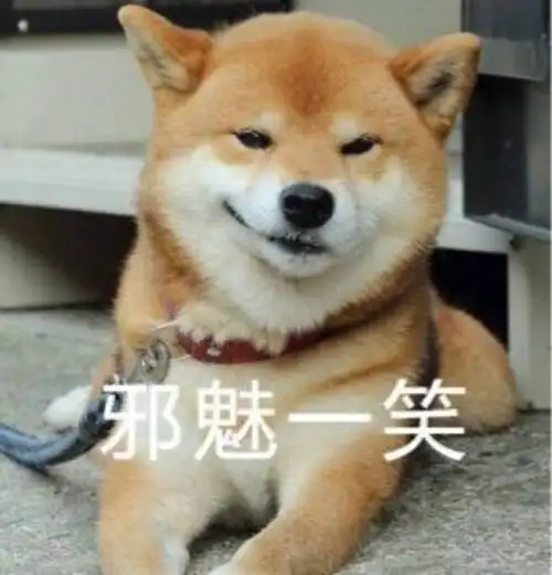 萌宠gif喵星人gif邪魅一笑gif嘻嘻gif呆萌gif搞怪gif