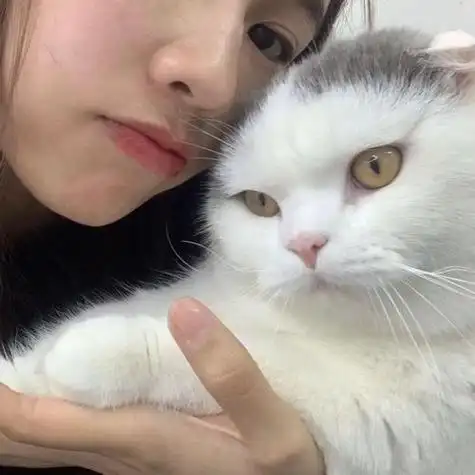 抱猫咪的唯美女生头像头像图片扣扣乐园