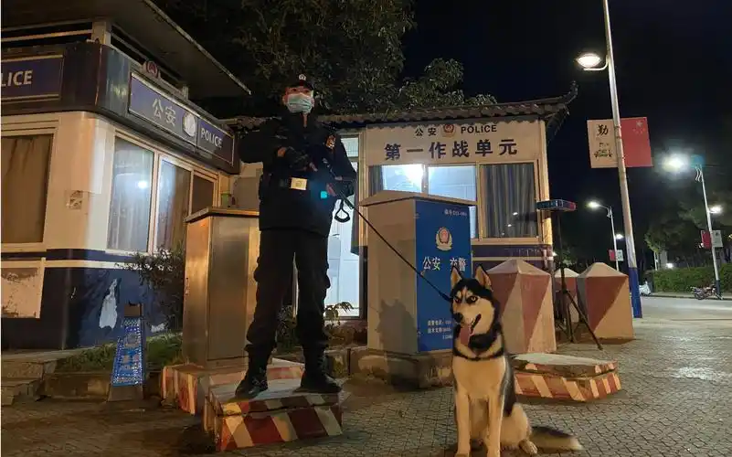 首个警察节,二哈陪特警蜀黍站岗