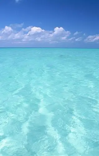 明亮干净的蓝就是大海的颜色