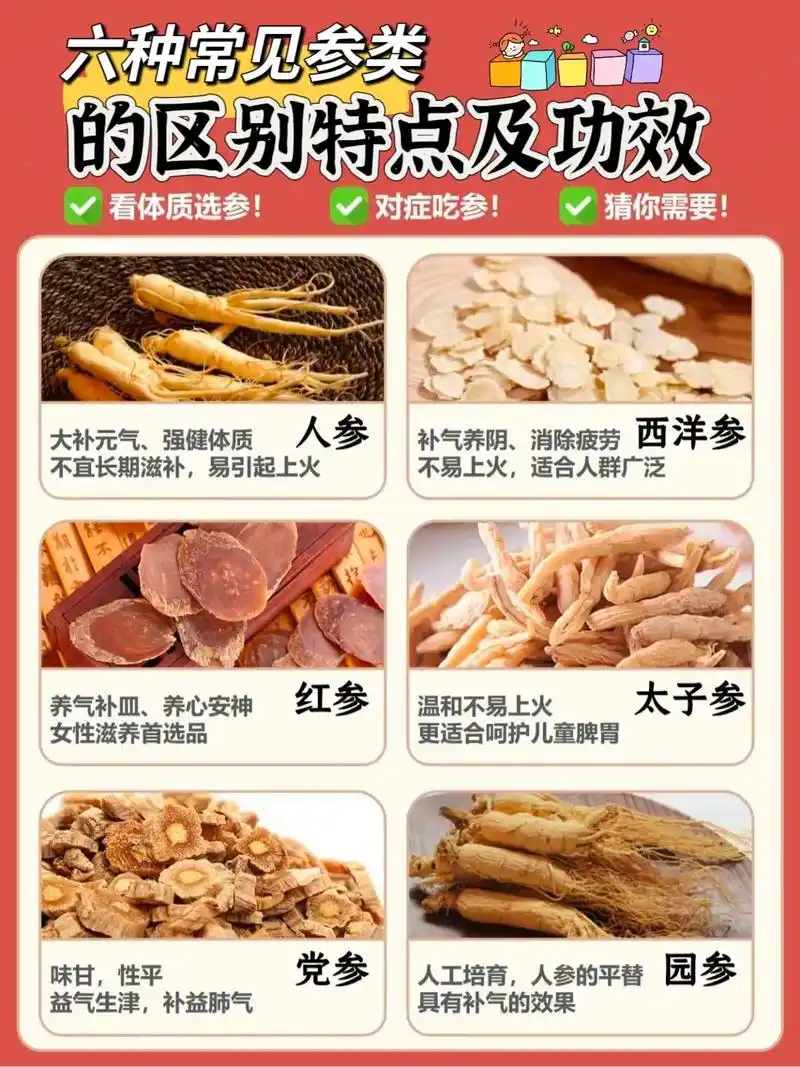 97六种常见参类的区别特点及功效97.