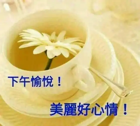 下午好表情包带字问候