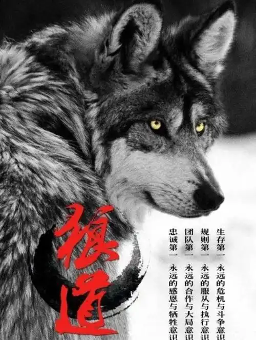 640_849竖版 竖屏