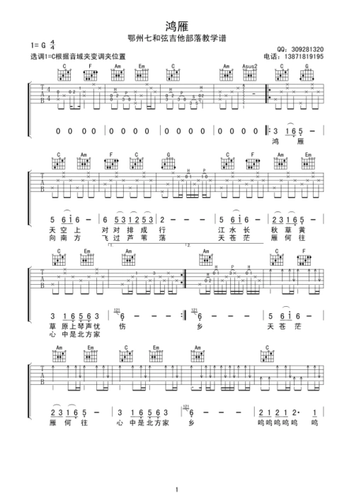 鸿雁c调吉他谱 好声音 云杰