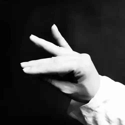 图文梅兰芳指法53式经典优雅