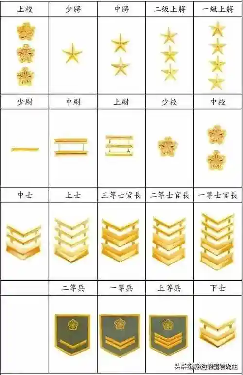 台湾省军队军衔及帽徽,帽识和等级标识