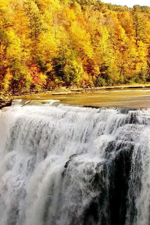 瀑布,树木,金色的秋天