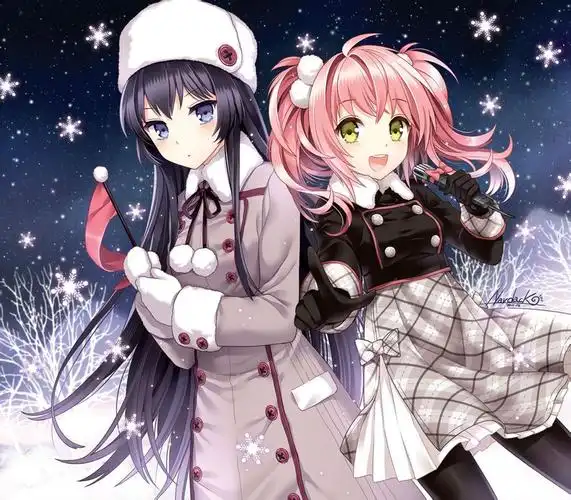 动漫图片大全可爱两人女生图片,有的给我,最好四人的,记的是动漫啊!