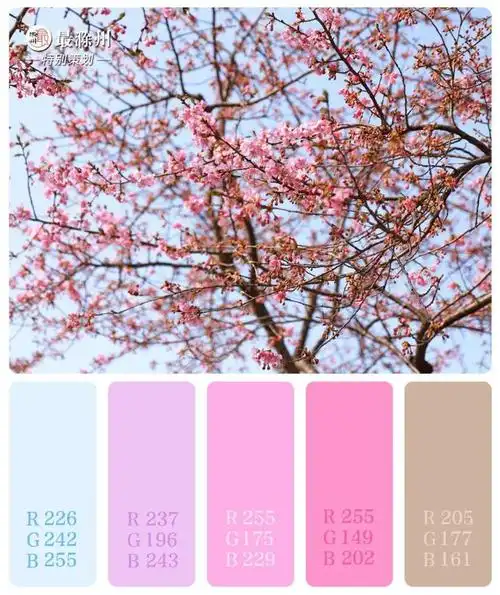 送入每个人的梦中将春天甜蜜气息滁州的春天是粉色滁州的春天来了