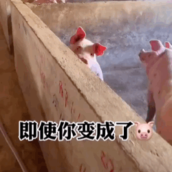 可爱沙雕表情包有一说一确实馋了