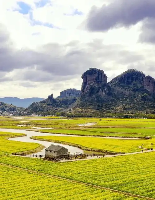 打卡临海这五大赏油菜花胜地,与春天来一场最美邂逅_桃江_权威_尤溪镇
