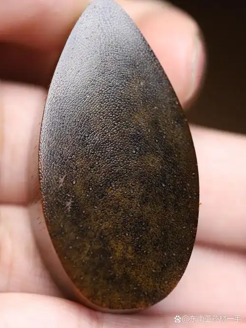 【顶尖藏品·#犀牛角# 吊坠】金皮料,纹理清晰,尺寸:48*25*13mm,重