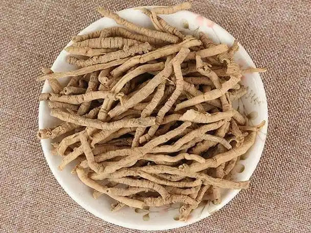 远志在共济失调中的应用