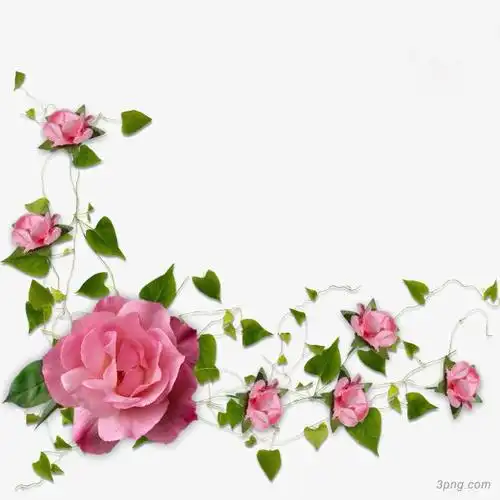 唯美花卉装饰图案png素材透明免抠图片-装饰效果