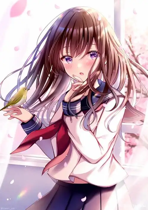 桜の花|二次元里的唯美樱花少女图集