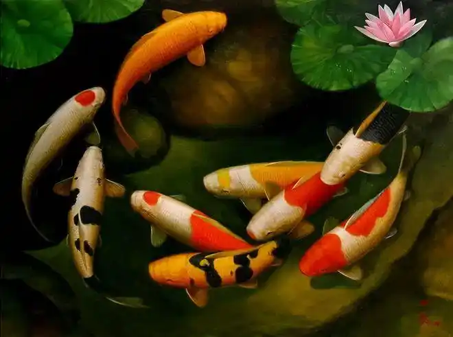 具有化煞和生旺功能的风水鱼,一定要谨记|锦鲤|鱼缸|金鱼|观赏鱼_网易