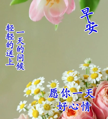 适合微信群发的早上好问候语图片大全新版早晨祝福语唯美句子