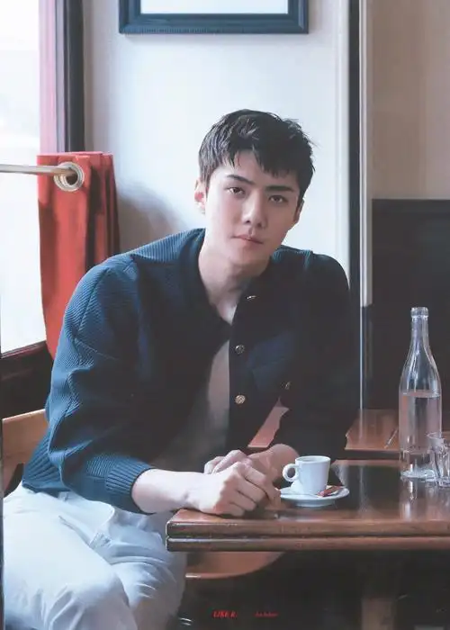 吴世勋韩国vogue创刊22周年纪念刊封面男神