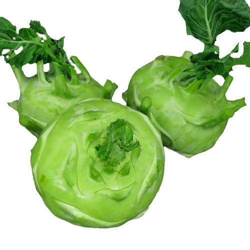 云南 苤蓝 大头菜疙瘩菜青苤蓝球 新鲜蔬菜 可腌制咸菜 新鲜苤蓝约3斤