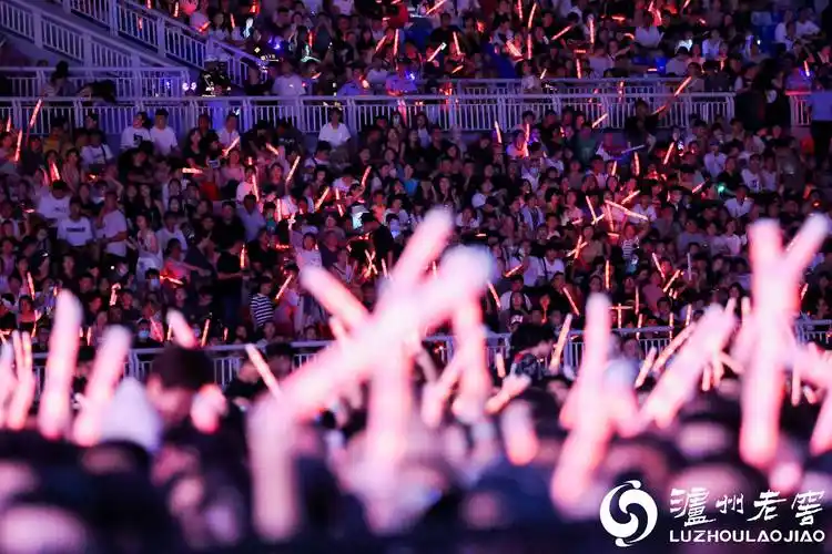 泸州老窖·国窖1573"荣耀盛典"群星演唱会临沂站燃情开唱_品牌_观众