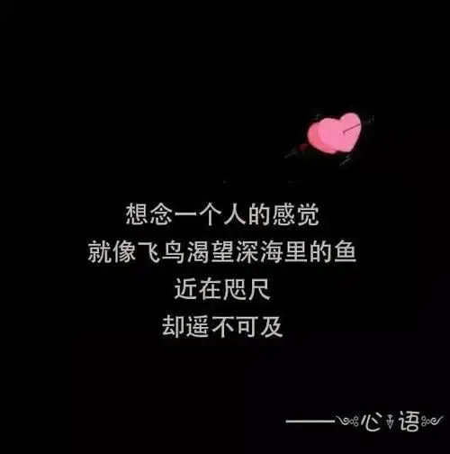 最伤心的话全网最悲伤的句子伤感语录