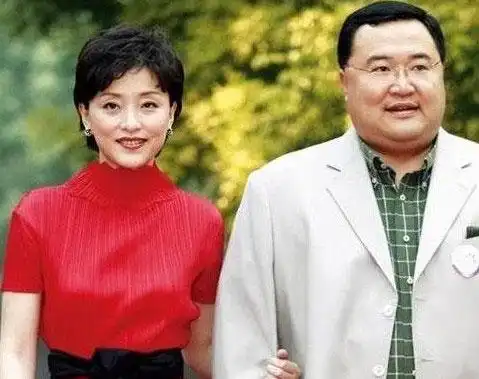 杨澜的前夫 杨澜老公吴征图片