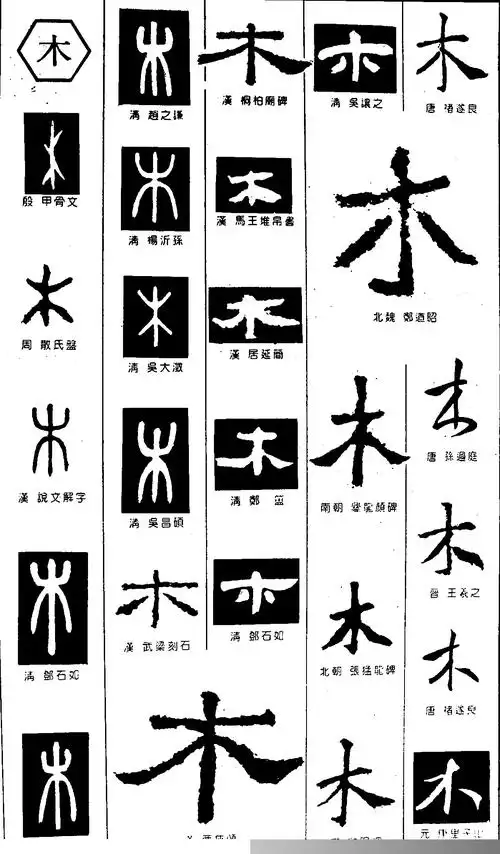 木 字体设计 - 字体转换器