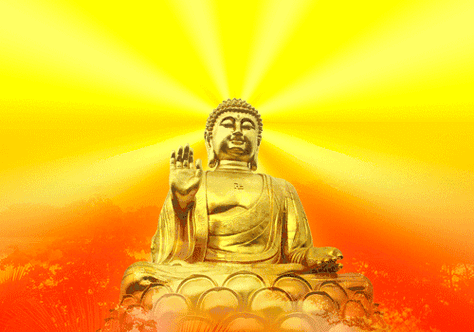 500_350gif 动态图 动图