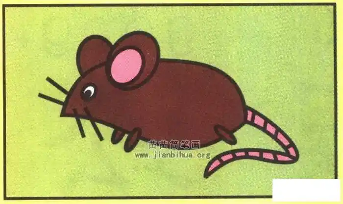 2,长出尾巴长出腿. 3,加上眼睛和嘴巴. 4,画上胡须是老鼠.