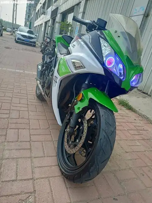 小忍者250双杠双化