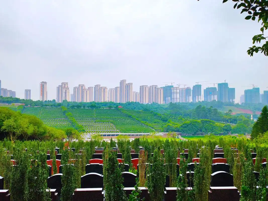 莲花公墓|殡葬改革新趋势,丧葬形式面临什么样的局面?