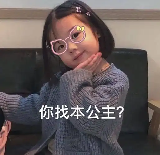 你找本公主找本公主表情