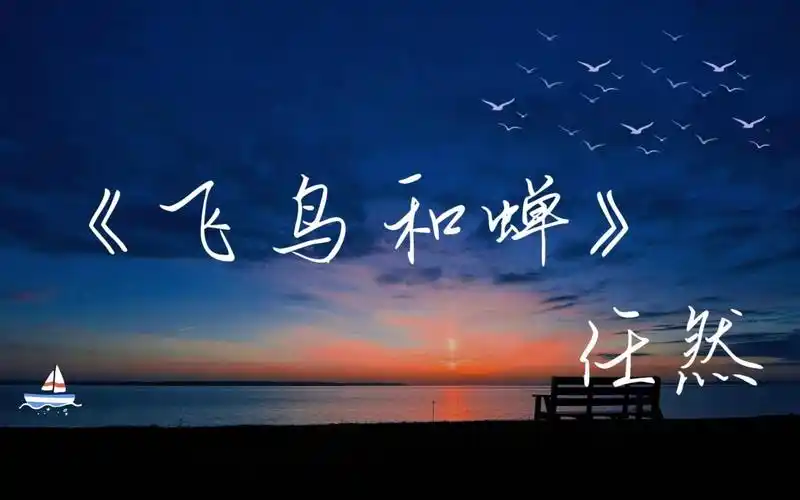 外国及台湾省网友评论歌曲飞鸟和蝉任然台湾省网友这首歌下简体和繁体