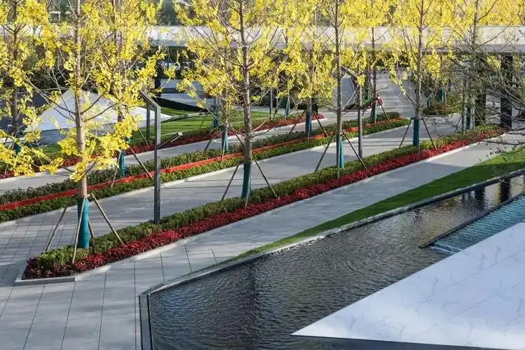 [分享]树阵景观,居然还能这么美!